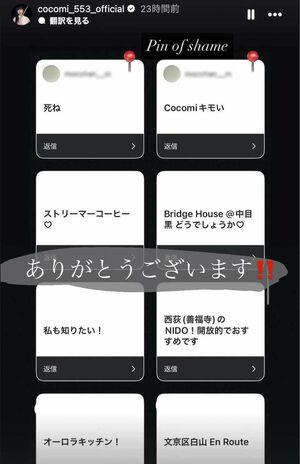 フォロワーに《ペット同伴OKのカフェを教えて》と質問していたCocomi。寄せられた回答をストーリーズで公開した中で「死ね」「Cocomiキモい」というアンチの声を目立ちやすいようにピン留め（Cocomiのインスタグラムより、画像は一部編集部で加工）