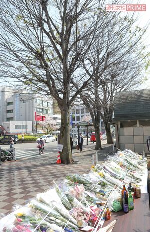 志村さんが生まれた東京都東村山市の駅前。功績を称えて植えられた3本の「志村けんの木」の近くには献花台が……