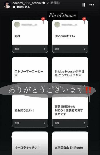フォロワーに《ペット同伴OKのカフェを教えて》と質問していたCocomi。寄せられた回答をストーリーズで公開した中で「死ね」「Cocomiキモい」というアンチの声を目立ちやすいようにピン留め（Cocomiのインスタグラムより、画像は一部編集部で加工）