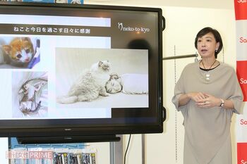 川上さんが代表理事を務める「ねこと今日」が、ペット用品「SankoPet」を提供する株式会社サンコーとアンバサダー契約を締結。「ペットのことも考えた災害対策の商品も考えていきたいですね」(川上さん)