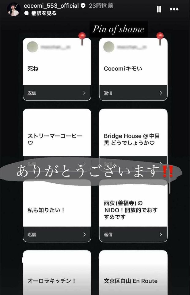 フォロワーに《ペット同伴OKのカフェを教えて》と質問していたCocomi。寄せられた回答をストーリーズで公開した中で「死ね」「Cocomiキモい」というアンチの声を目立ちやすいようにピン留め（Cocomiのインスタグラムより、画像は一部編集部で加工）