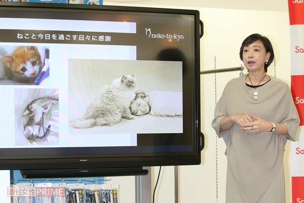 川上さんが代表理事を務める「ねこと今日」が、ペット用品「SankoPet」を提供する株式会社サンコーとアンバサダー契約を締結。「ペットのことも考えた災害対策の商品も考えていきたいですね」(川上さん)