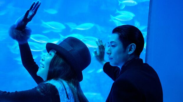 (c)2017 「結婚」製作委員会