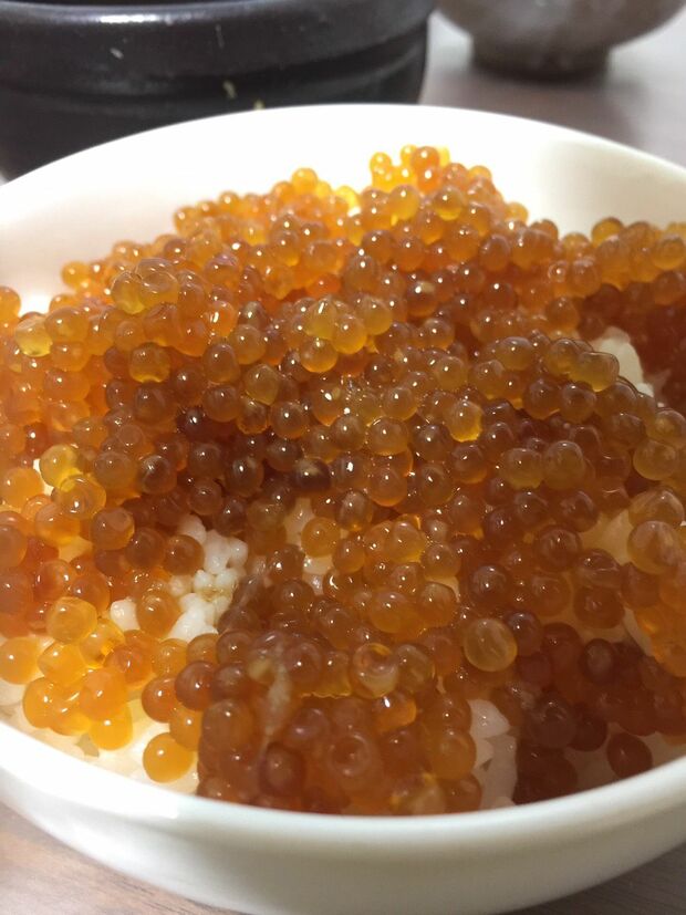 ＃北海道　＃イクラじゃなくて、ますこのしょうゆ漬け　＃ますこ、なまらうまーい