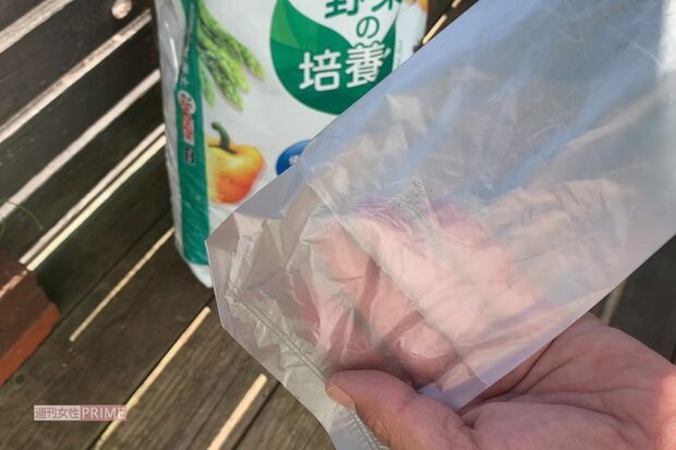 傘袋でも栽培が可能　撮影／林ひろし　栽培写真協力／ぽたろう