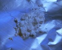 薬物事件で1万人以上が逮捕「今はネットで誰でも買える」