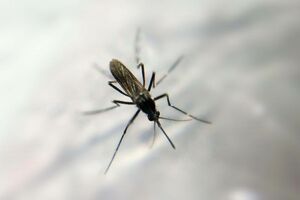 ※画像はイメージです