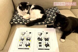 自分たちにそっくりな漫画に夢中! 作画のホンマジュンコ氏はふたりの絵が上手で「本当にそのもの!」(藤)