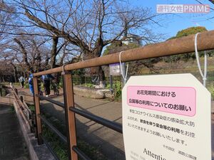 千鳥ヶ淵緑道には飲食を伴う花見を控えるよう求める看板が