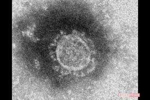 新型コロナとの〝闘い〟は2年が過ぎているが…