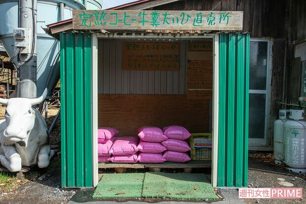 牛の糞尿、干し草、コーヒーとカカオを発酵させたオリジナルのたい肥は大好評（撮影／齋藤周造）