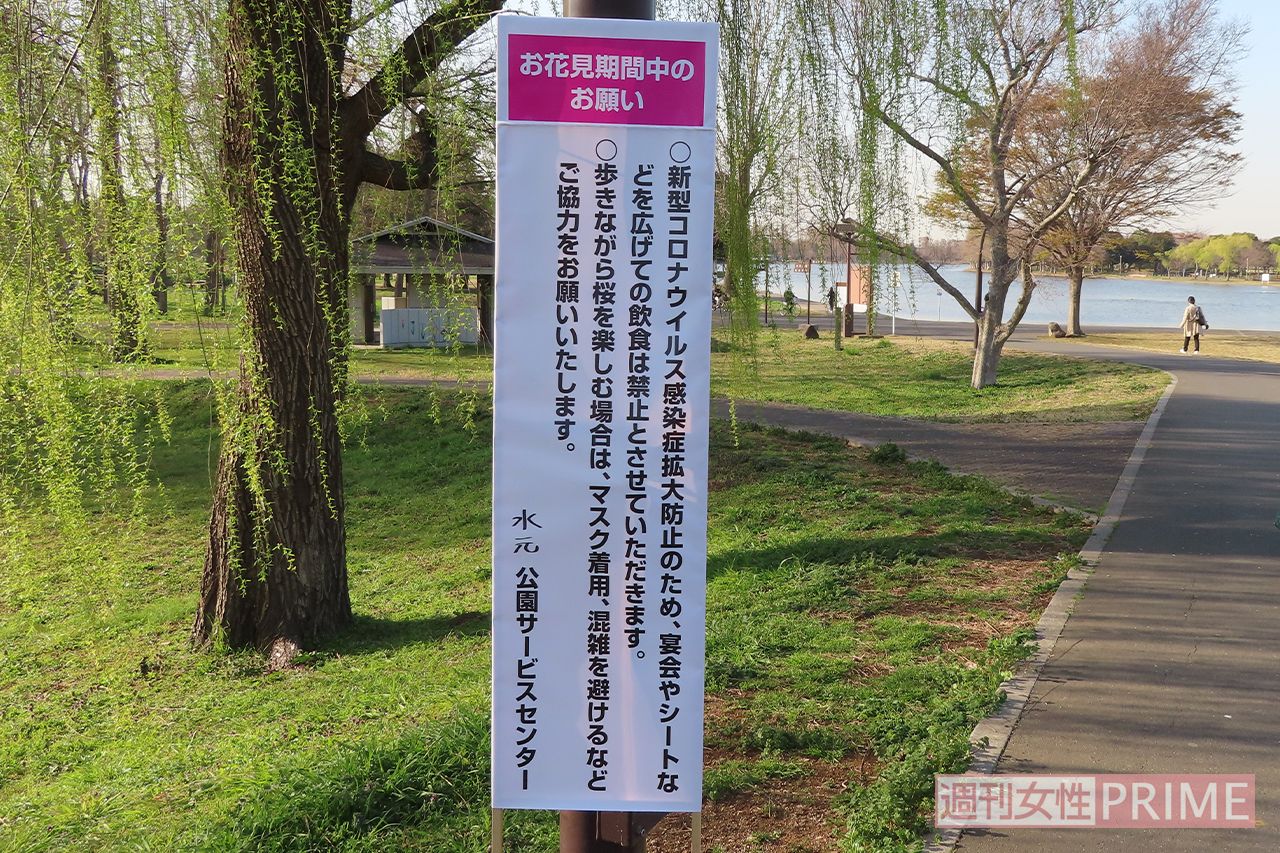 元 公園 桜 水 庄川水記念公園ライブカメラ(富山県砺波市庄川町)