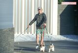 犬たちと散歩する坂上忍（'18年）
