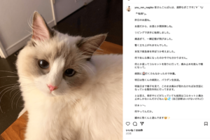 遠野なぎこさん（公式インスタグラムより）