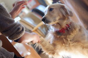 ※写真はイメージ