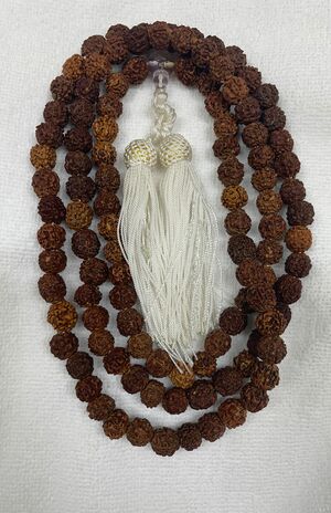 菩提樹の実で池田さんが自作した数珠は現在3代目。これが池田さんを守ってくれている（※掲載している心霊写真はすべて除霊済みです）（写真提供／池田武央）