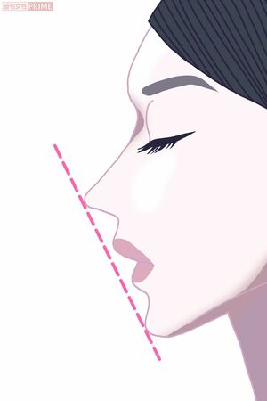 鼻の先端と顎の先を結んだ直線を「Eライン」といい、その少し内側に唇があるのが理想とされる