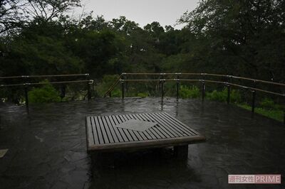 『箱根山』の山頂。数々の心霊目撃談がある場所だが……