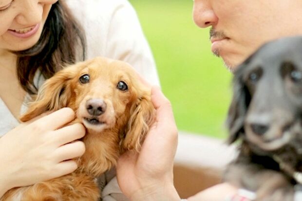 写真はイメージです