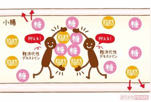 『LIBERA』に含まれる難消化性デキストリンには、腸での脂肪や糖の吸収を抑える効果がある