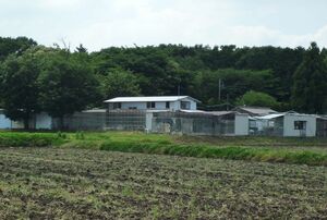 栃木の拠点。約3000坪の広さに犬や猫約400匹が暮らす