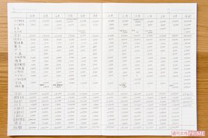 年間の家計簿記入例