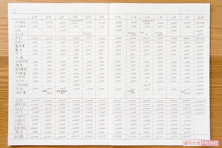 年間の家計簿記入例