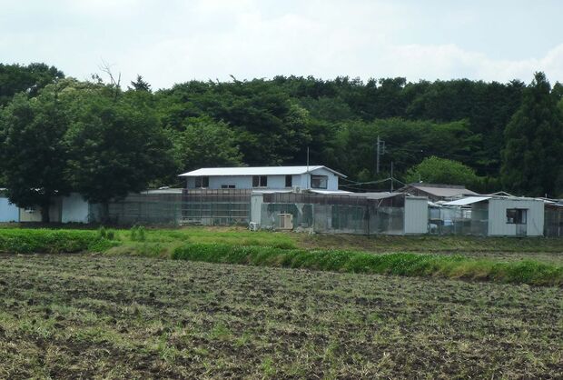 栃木の拠点。約3000坪の広さに犬や猫約400匹が暮らす