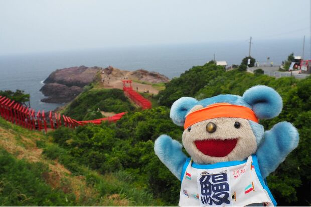 国内では東西を問わず、ハワイや韓国など海外ツアーも