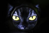 TOKIO山口達也さん契約解除の背景にあったヤマト運輸への顔向け