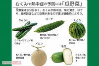 薬膳のプロが教えるスーパーで買える「夏バテ予防食材」…なぜ夏にゴーヤやスパイスカレーなのか？