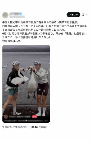 《中国人観光客が山中湖で白鳥の首を掴んで吊るし笑顔で記念撮影》と拡散された画像。AI生成を疑う声もあるが、批判が殺到している(Xより)
