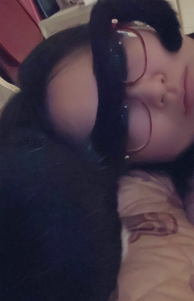 はちのすけくん・6歳。長いこと1人で留守番をさせていたためか、尻尾を乗せて睡眠の邪魔攻撃！（※画像は飼い主提供）