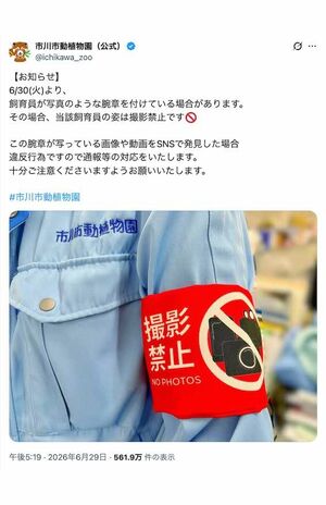 《飼育員が写真のような腕章をつけている場合があります。その場合、当該飼育員の姿は撮影禁止です》と、実際に着用する腕章の写真を投稿した市川市動植物園（公式Xより）