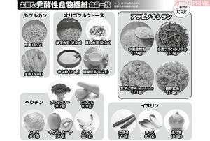 主要な食物繊維　食品一覧