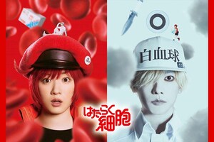 永野芽郁と佐藤健がW主演を務めた映画『はたらく細胞』キービジュアル(公式サイトより)