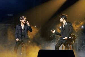 撮影／PALMTREE ISLAND