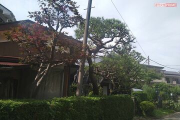 質素に暮らす家だが、庭の植木には手入れが行き届いている