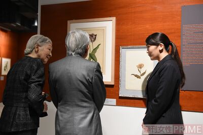 上皇ご夫妻を自身が勤務する博物館で案内される眞子さま（'17年12月）