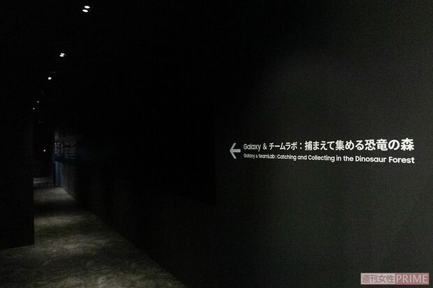『Galaxy & チームラボ：捕まえて集める恐竜の森』入口（撮影／矢島泰輔）