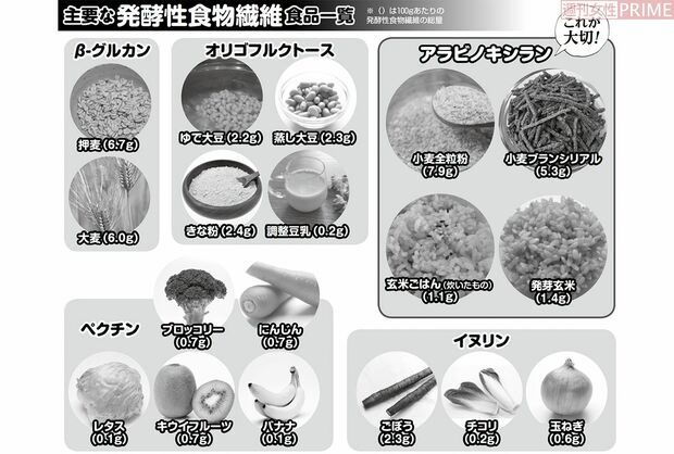 主要な食物繊維　食品一覧