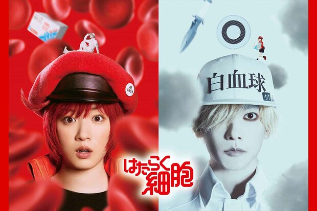 永野芽郁と佐藤健がW主演を務めた映画『はたらく細胞』キービジュアル（公式サイトより）