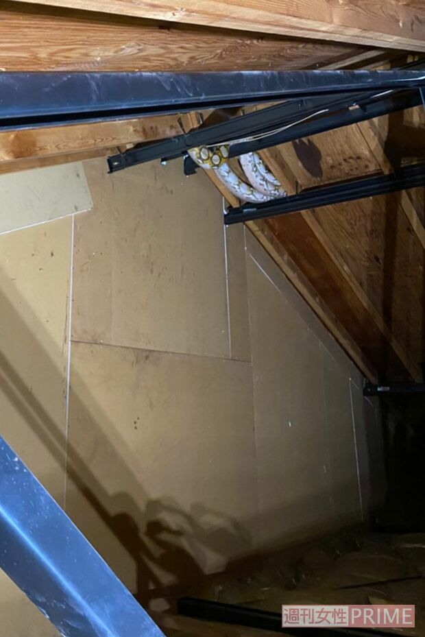 屋根裏でアミメニシキヘビを発見した瞬間（協力／体感型動物園iZoo）