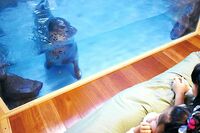 北海道、“動物と宿泊できるグランピング施設”が「虐待疑惑」で炎上!担当者に聞いた管理体制と今後の対応…
