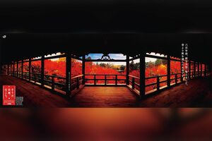 「東福寺」'97年秋。“六百年前、桜を全部、切りました。春より秋を選んだお寺です。”
