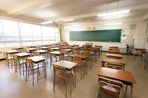 ※写真はイメージ