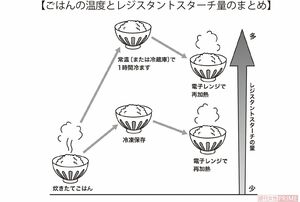【ごはんの温度とレジスタントスターチ量のまとめ】