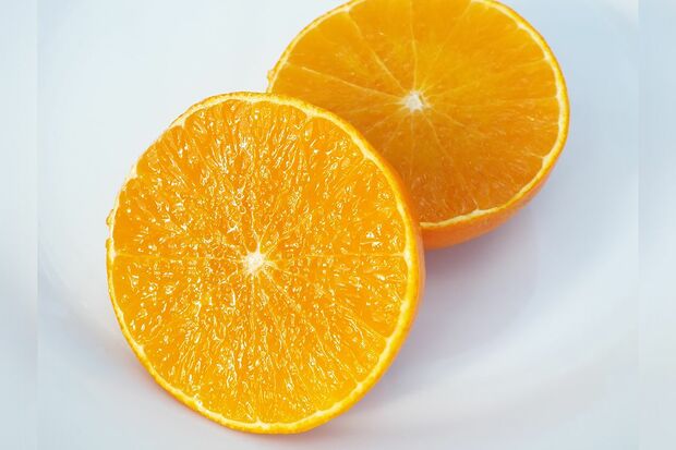 愛媛県八幡浜市の返礼品、媛一まどんなはゼリーのような食感でファンが続出した