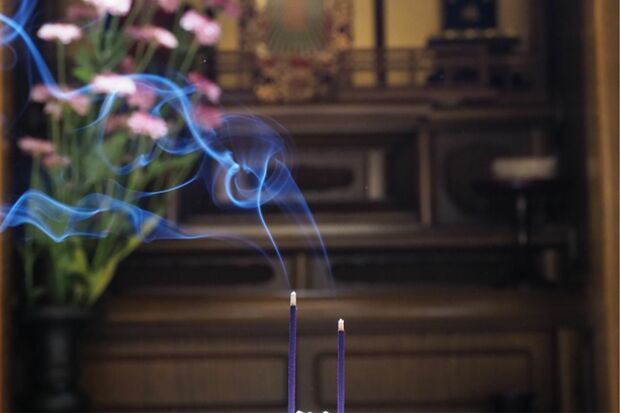 写真はイメージです