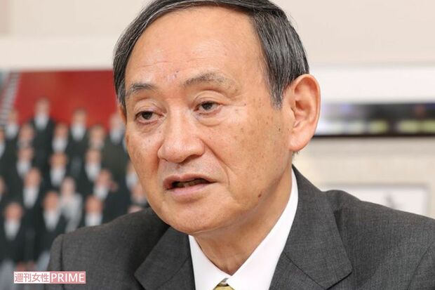 菅義偉（専門家型）